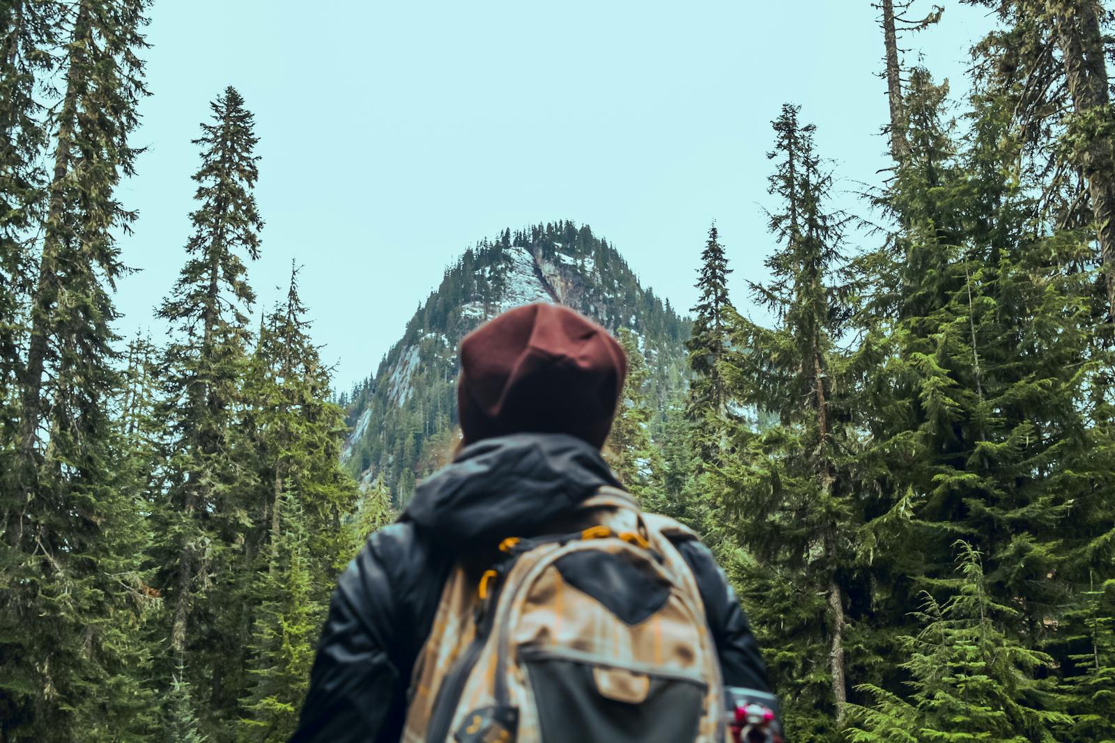 A hiker with backpack looking at a forested mountain peak, symbolizing adventure.